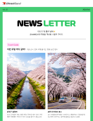 봄_뉴스레터